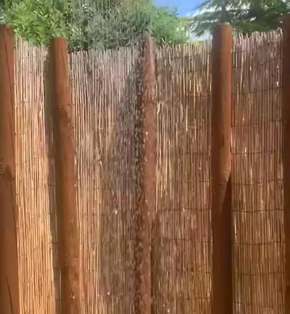 Lido- Pangrazi Alessandra