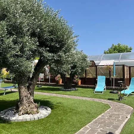 Lido- Pangrazi Alessandra *