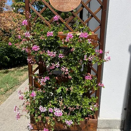 Lido- Pangrazi Alessandra *