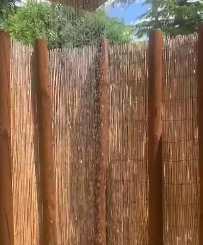 Lido- Pangrazi Alessandra