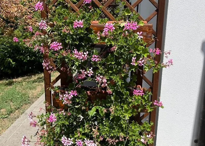 Lido- Pangrazi Alessandra *